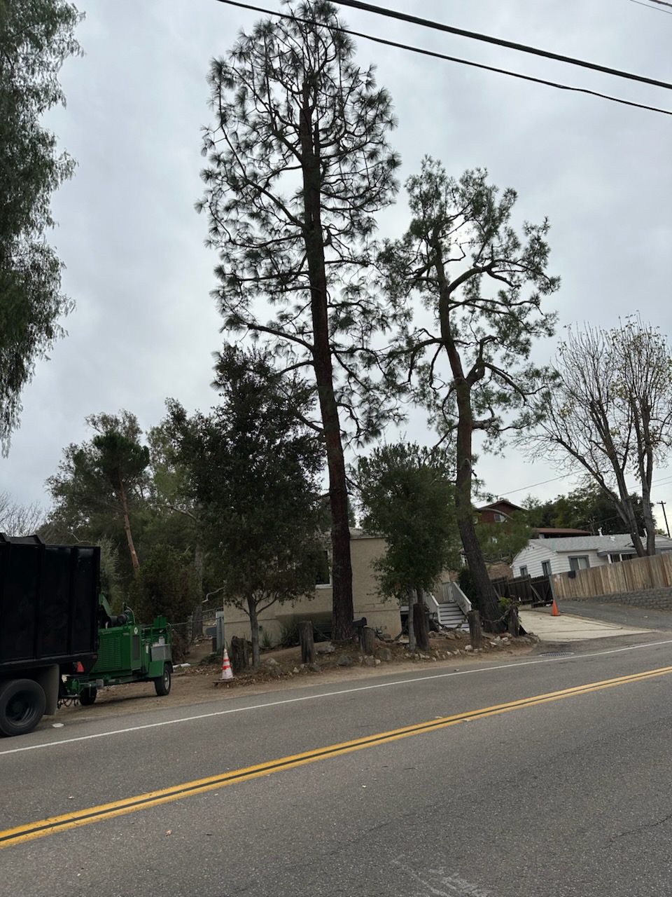 J Rojas Tree Services Image